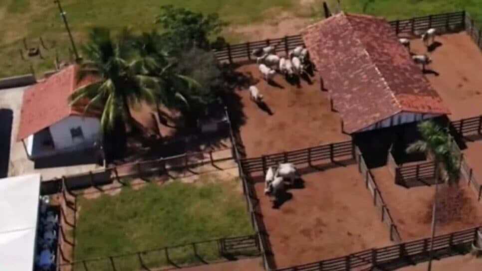 Vista de cima da fazenda de Chitãozinho (Foto: Reprodução/ Internet) Vista de cima da fazenda de Chitãozinho (Foto: Reprodução/ Internet)