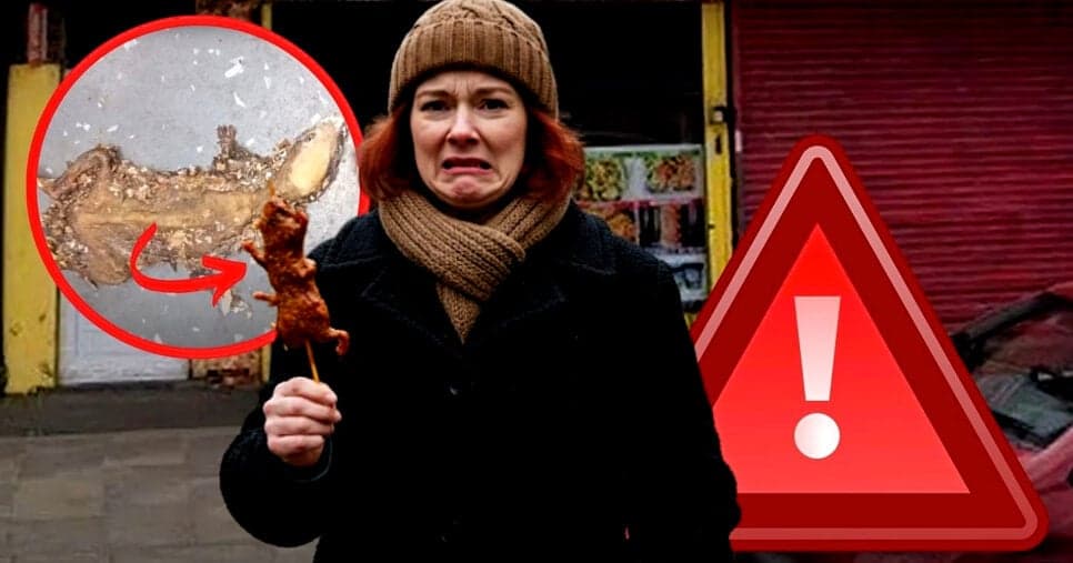 Rato inteiro e frito: Descoberta aterrorizante em rede de fast food nº1 levanta alerta de Vigilância em país