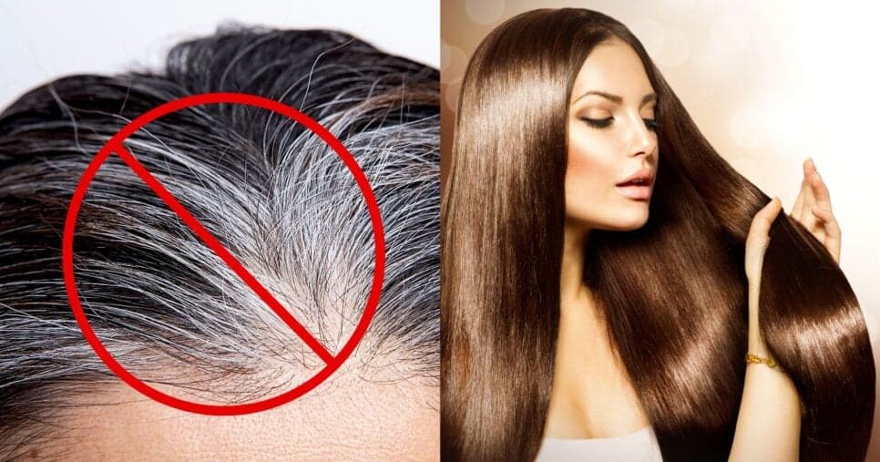 Cabelo branco extinto sem tinta: Misturinha natural com 3 ingredientes escurece a raiz em 15 minutos