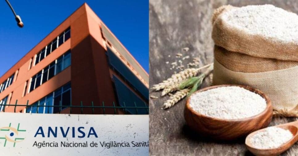 Pedaços de inseto: Decreto da ANVISA em farinha traz descoberta assustadora em nº1 das donas de casa