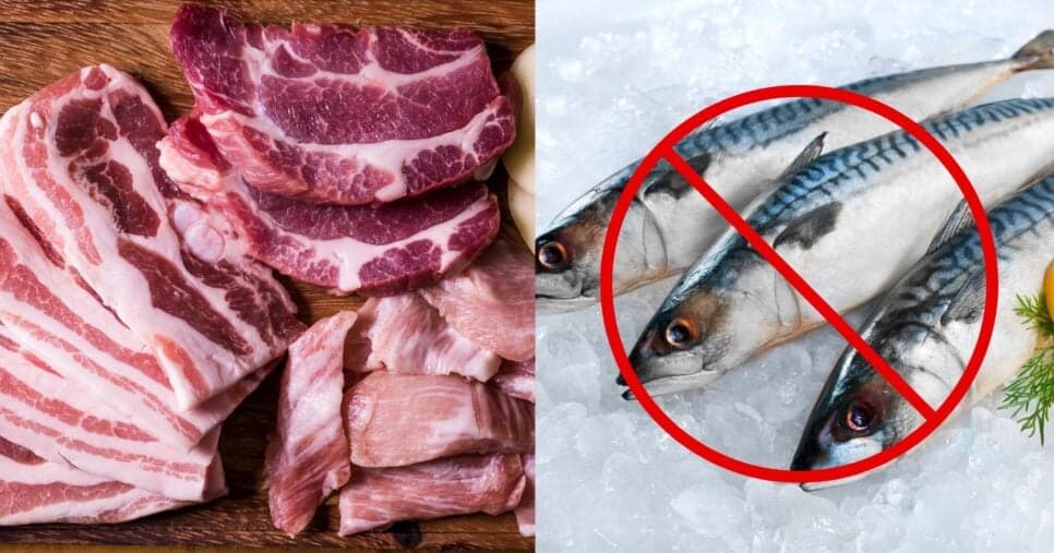 6 toneladas de peixe e carne PODRE apreendidas em mercado n°1 de Porto Alegre, RS, afeta clientes HOJE (15/04)