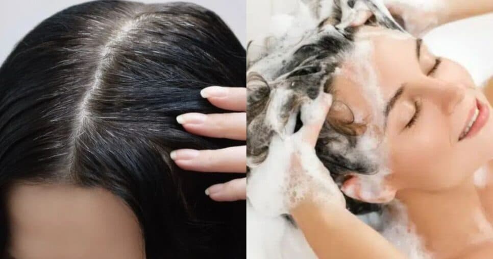 Nada de tinta: 1 ingrediente no shampoo elimina cabelo branco e rejuvenesce mulheres 55+