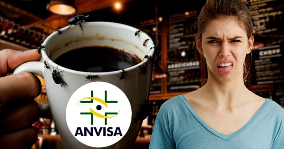 Pedaços de inseto no café: Decreto da ANVISA traz descoberta suja em bebida nº1 das donas de casa