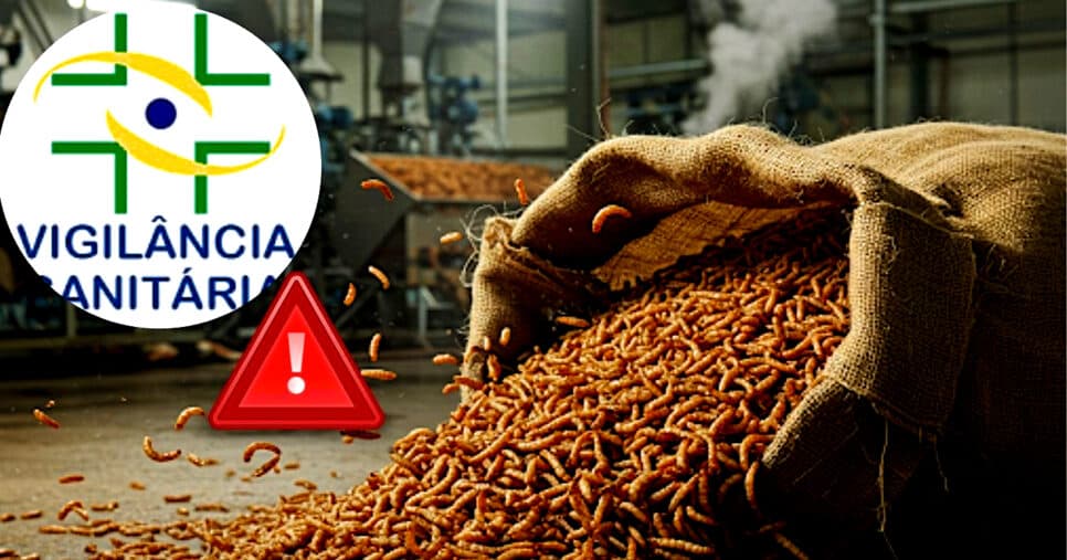 Farinha com larvas: Vigilância Sanitária é acionada após descoberta horripilante em fábrica nº1 de SC em 2025