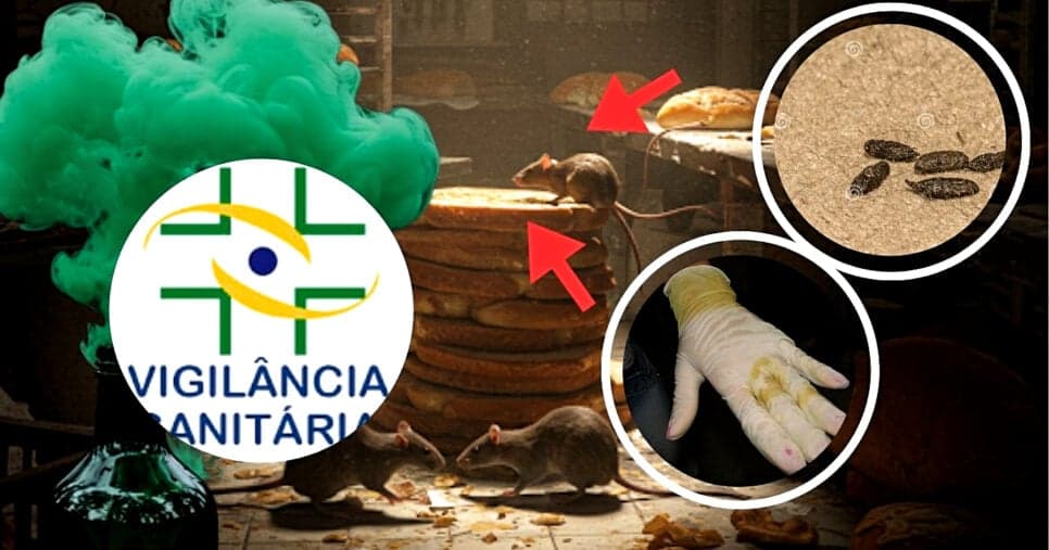 Pão com urina e fezes: Interdição da Vigilância contra padaria após banquete nojento abala Maceió- AL