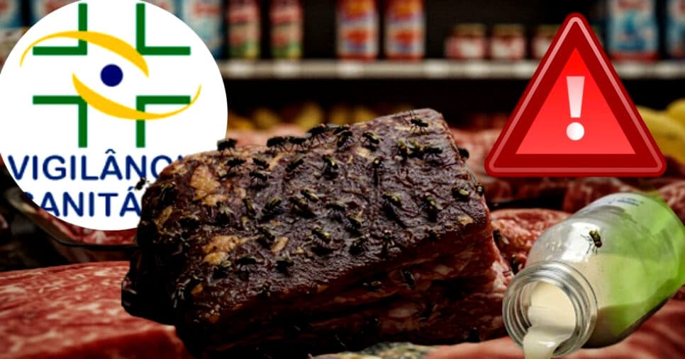 Banquete de nojeira: Flagra de moscas vivas na carne e leite podre em supermercado aciona a Vigilância em SC