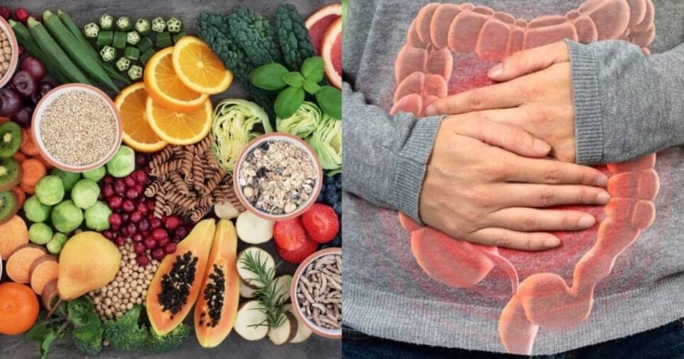Nutricionista revela 10 alimentos potentes como laxantes para eliminar kgs de fezes e secar a barriga
