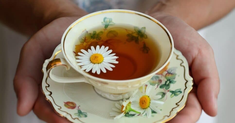 Elixir para pele madura: Chá potente de erva reduz rugas e rejuvenesce 15 anos