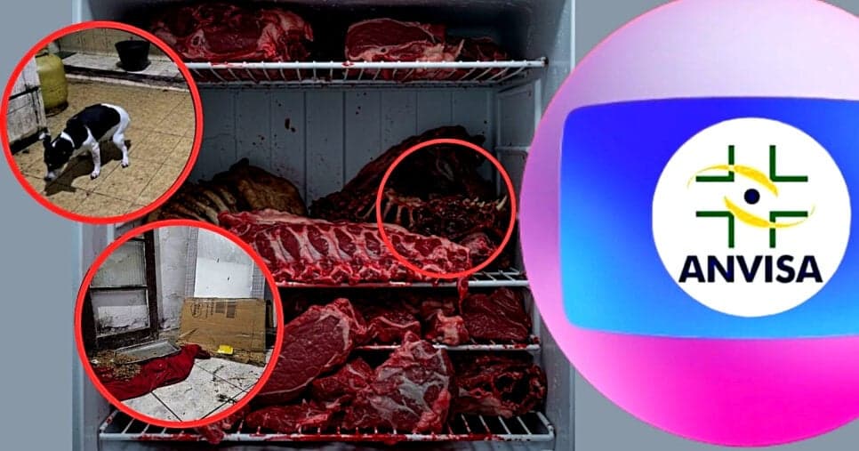 Carne de cachorro e animais mortos no freezer: Globo confirma prisão por horror e acende alerta na ANVISA