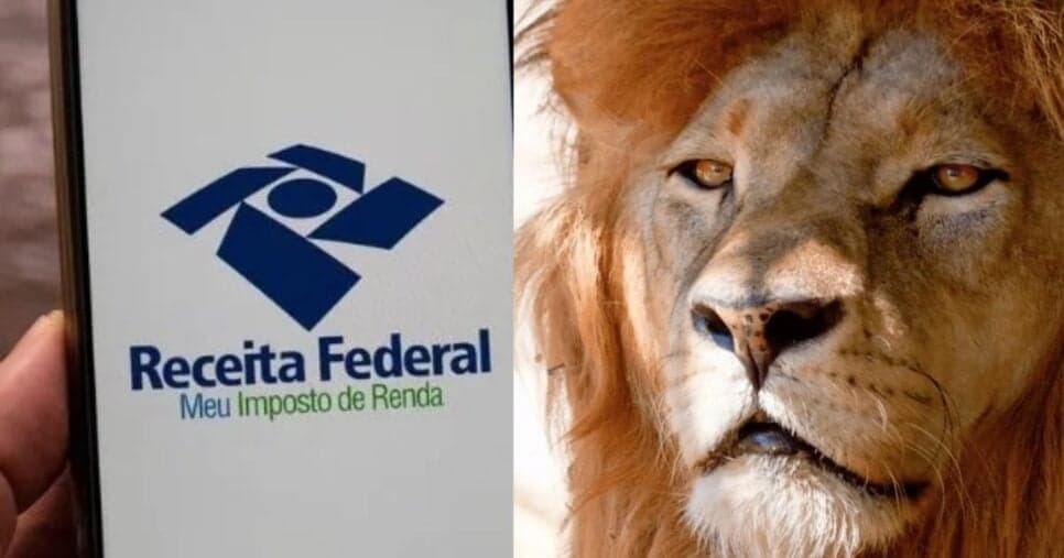 Nova regra do Imposto de Renda surpreende quem sempre declarou certo