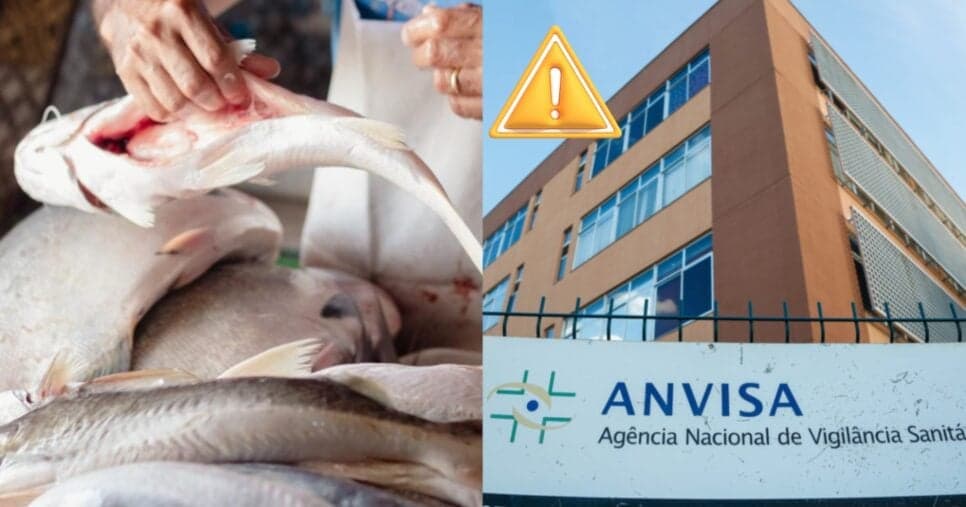 Peixe tóxico: Descoberta fatal em pescados nº1 em mercado popular de São Luís, MA, levanta alerta da ANVISA