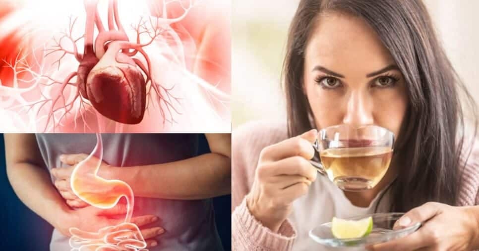 Chá potente para imunidade protege o coração e solta o intestino