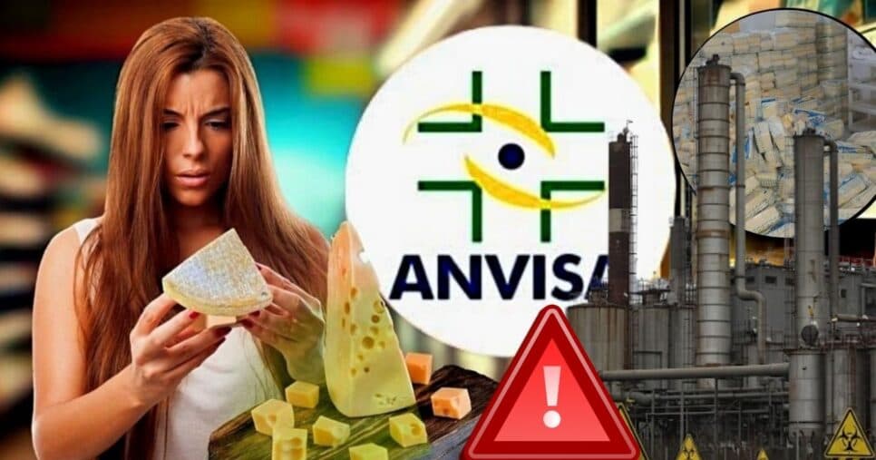 14 toneladas de queijo tóxico: 9 fábricas interditadas liga alerta da ANVISA por erro letal