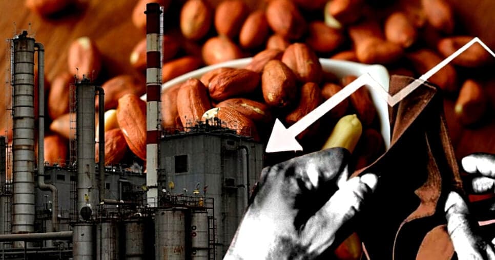 R$561M em dividas: Gigante do amendoim entra em colapso e luta contra falência em 2025