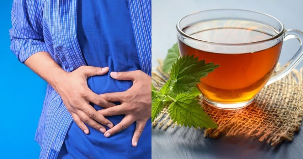 Chá caseiro é tão potente que acaba com a infecção urinária, segundo médico