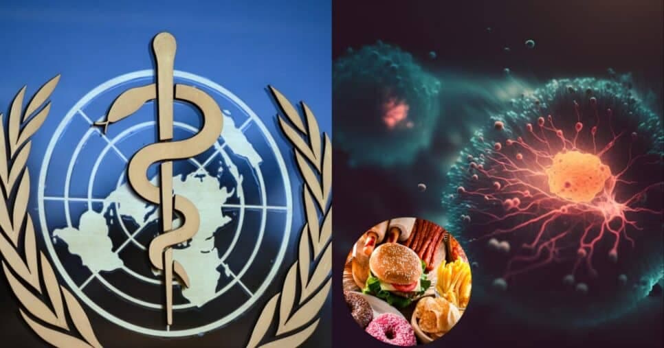 Lista oficial da OMS traz alimentos mais cancerígenos para se atentar: veja