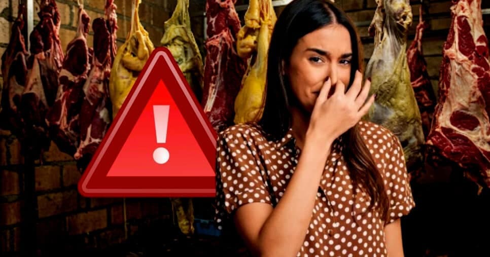 Carne podre e fedida: Denúncia contra açougue popular deixa clientes atônitos em Recife, PE