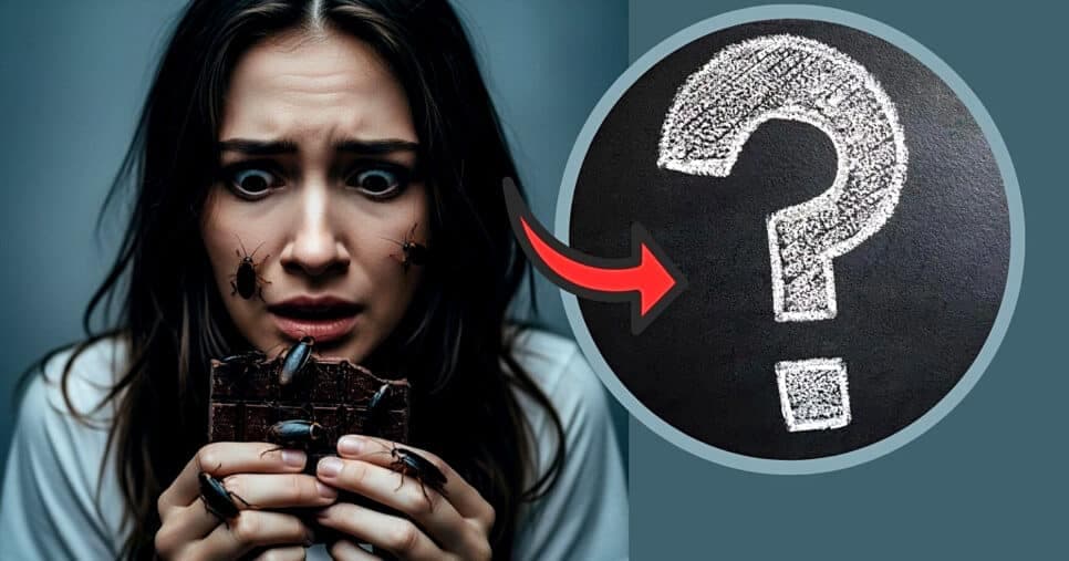 Por que é liberado vender chocolate com barata no Brasil?