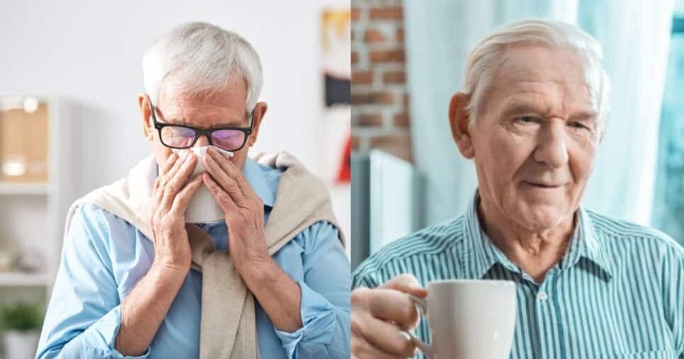 Esses 3 chás caseiros são tão potentes que salvam os idosos 60+ da gripe e aumentam a imunidade