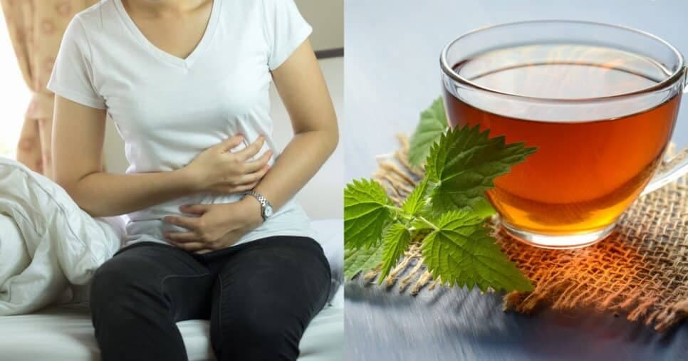 Tchau, prisão de ventre: Esse chá é tão potente que é como laxante para o intestino preso