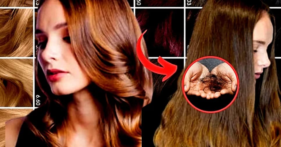 Deveriam ser banidas do salão: 3 cores de cabelo que mais ressecam e multiplicam o frizz