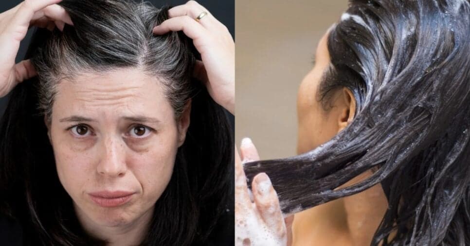 Fio branco coberto de tinta nunca mais: Shampoo natural esconde cabelos brancos sem agredir