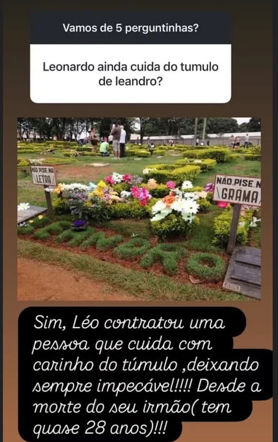 Imagem do post Imagem do post