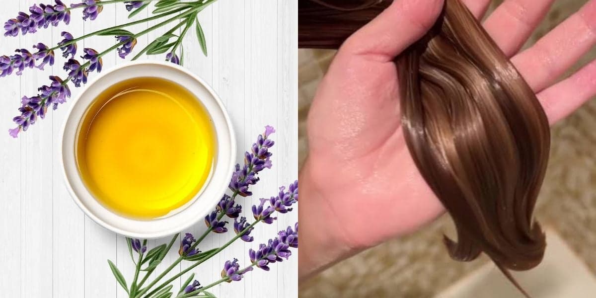 Hidratação com óleo de lavanda ajuda a reduzir o ressecamento e melhora a maciez do cabelo