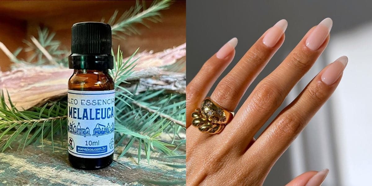 Use 2 gotas de óleo de melaleuca nas cutículas antes de dormir para ter unhas grandes antes de Julho